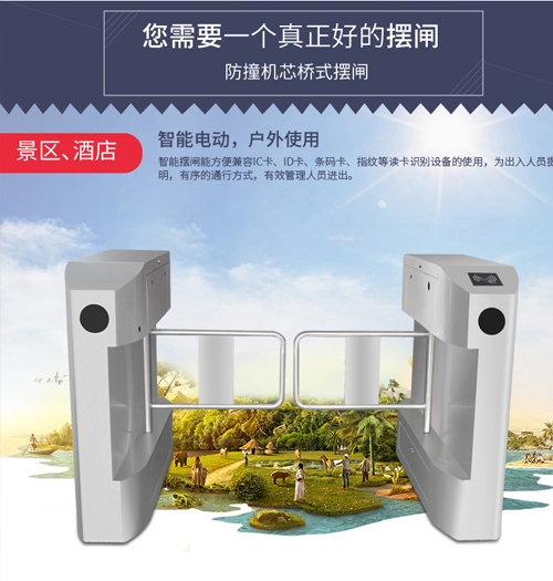 桥式斜角摆闸
